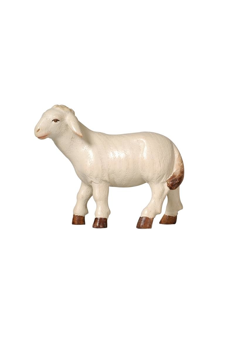 Pema Kerstgroep - schaap vooruit kijkend
