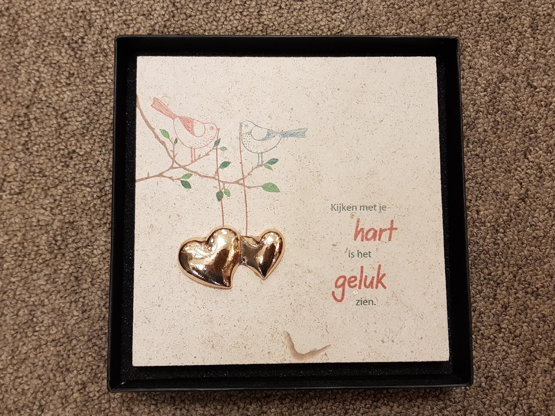 Tegel leisteen - Hart