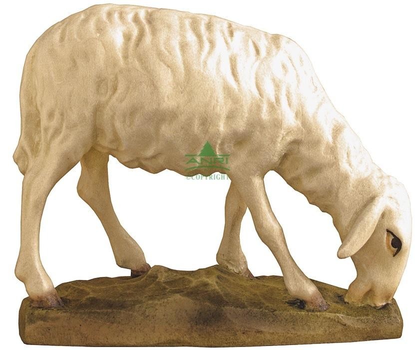 Bernardi - schaap grazend