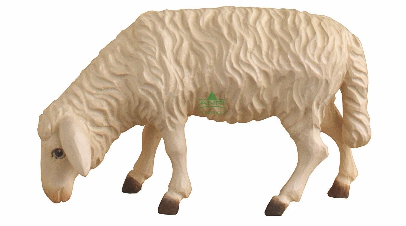 Anri - schaap grazend