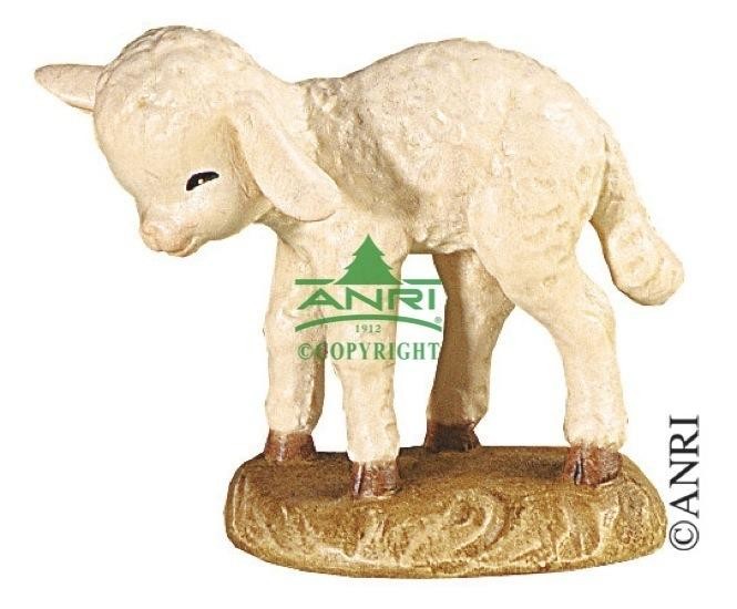 Ferràndiz  - schaap laag kijkend