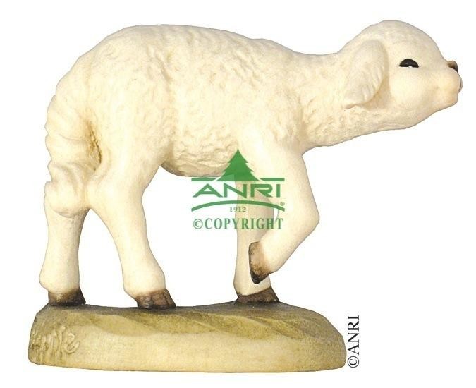 Ferràndiz Groep - schaap recht vooruit kijkend