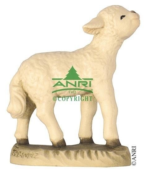Ferràndiz  - schaap omhoog kijkend