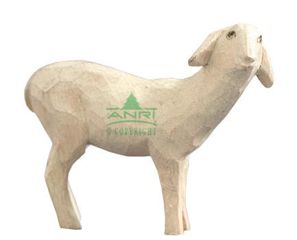 Stevia Kerstgroep - schaap rechts kijkend
