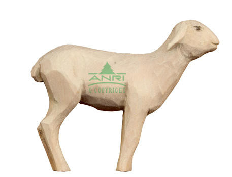 Stevia Kerstgroep - schaap recht vooruit kijkend