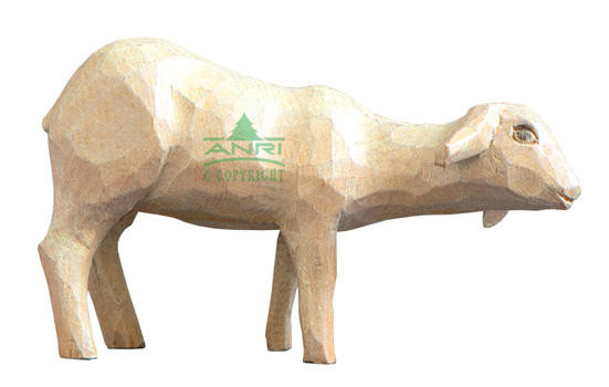 Stevia Kerstgroep - schaap laag kijkend
