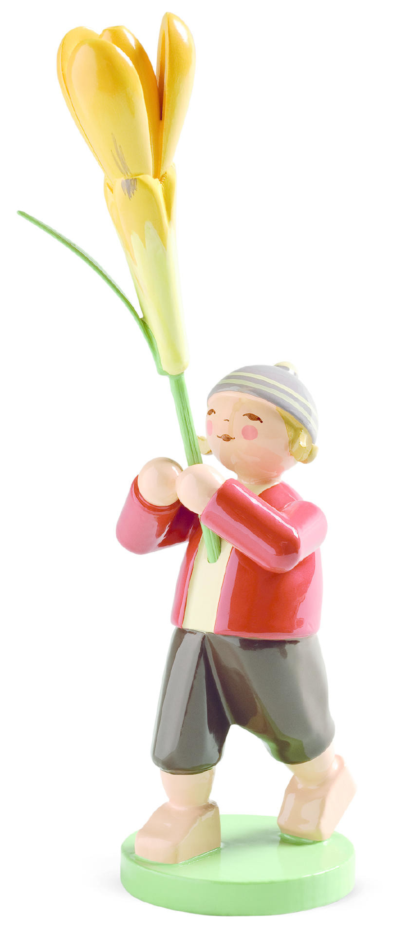 Jongen met krokus
