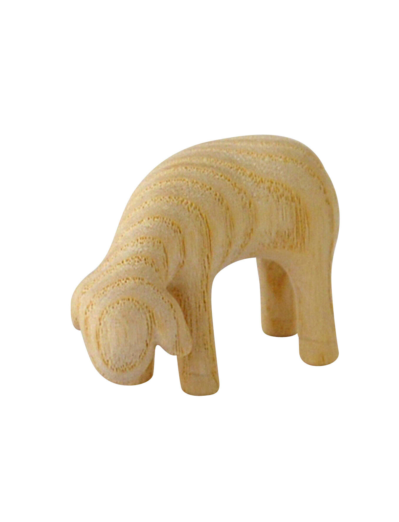 Groep 500 - schaap grazend