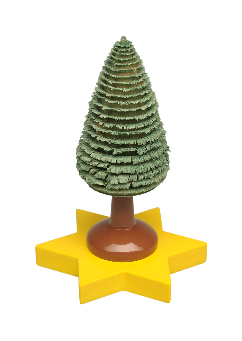 Kerstboom op ster