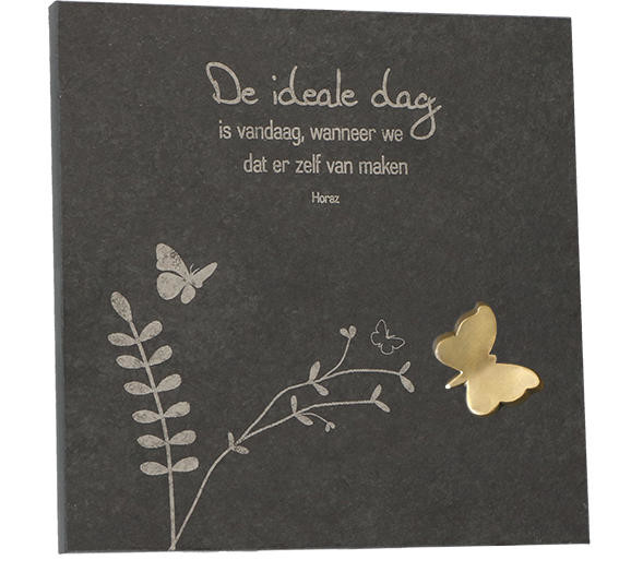 Tegel leisteen - Ideale dag